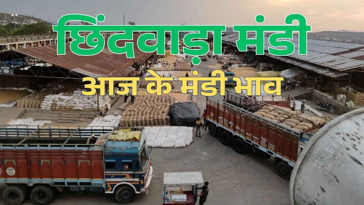 Madhya Pradesh ki Chindwada Mandi Bhav ! छिंदवाड़ा के आज के मंडी भाव