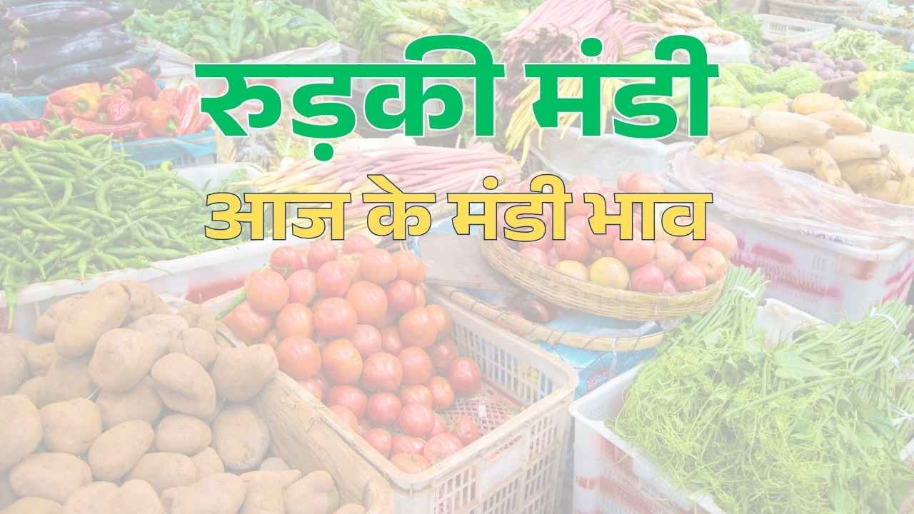 हरिद्वार के रुड़की मंडी आज के भाव ! Rudki Mandi Aaj Ke Bhav