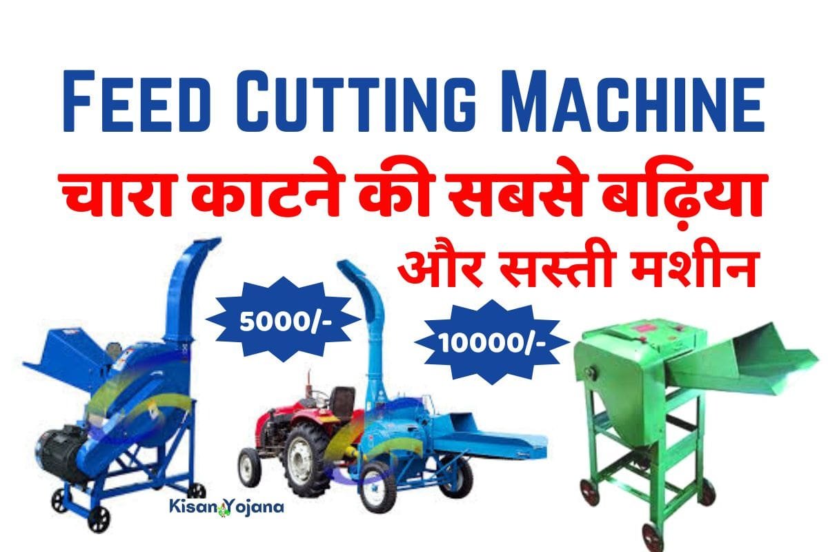 feed cutting machine