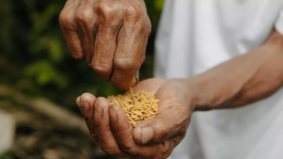 crop seed society