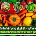 Vegetable farming will give good income