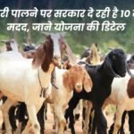 Goat Farming: Government is giving Rs 10 lakh assistance for rearing 100 goats, know the details of the scheme